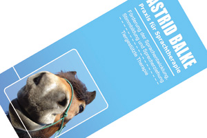 Astrid Balke - Flyer Design